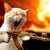 :iconcelinsc: