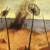:iconcellar-smoke: