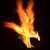 :iconceltic-hound: