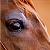 :iconceltic-shadow: