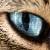 :iconcelticlovecat: