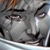 :iconcelticrei:
