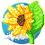 :iconcelticsketches: