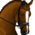 :iconcelticthunderstables: