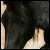 :iconcelticwolven: