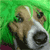 :iconcelton-kundashi: