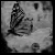 :iconcemetery-freak: