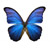 :iconcendika: