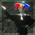 :iconcenotaph367: