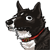 :iconceppana: