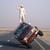 :iconcerberus0225: