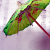 :iconcerise-chocolat: