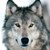 :iconcerridwen1311: