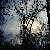 :iconceruleanfire: