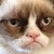 :iconceruleanoctopus:
