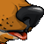 :iconceruleanraptor: