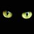 :iconceshare: