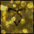 :iconcessation-fire: