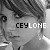 :iconCeylone: