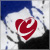 :iconcezarymordawski: