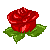 :iconcezzarose: