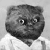 :iconcfcastro: