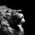 :iconcflash94: