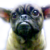 :iconcfritzsche: