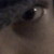 :iconcgayle92: