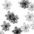 :iconcgcassis: