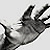 :iconcgoky: