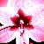 :iconch0kedup: