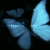 :iconch3ru8in: