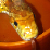 :iconchabump: