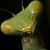 :iconchadcurtisarts: