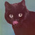 :iconchai-booskie: