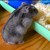 :iconchaimamphoto: