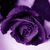 :iconchained2misery: