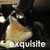 :iconchaki7: