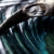:iconchakor: