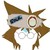 :iconchakramqueencms:
