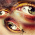 :iconchampc98: