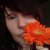 :iconchandni13: