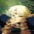 :iconchandria03: