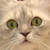 :iconchanduhler: