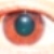 :iconchanepyon:
