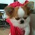 :iconchanfurng:
