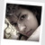 :iconchangerine:
