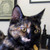 :iconchannelgirl: