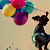 :iconchantelbaggley: